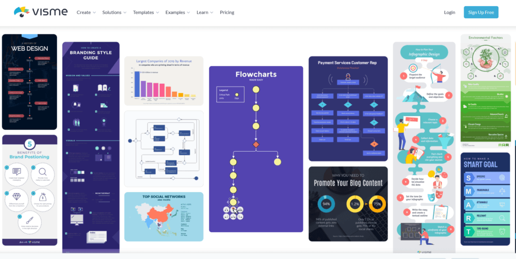 Visme Infographic Template Samples